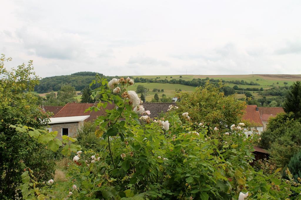 Maison Mille Fleurs Sankt Julian-Obereisenbach Exterior foto