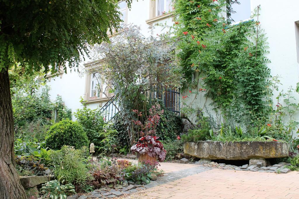 Maison Mille Fleurs Sankt Julian-Obereisenbach Exterior foto