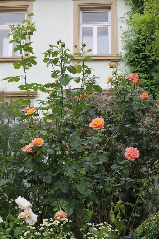Maison Mille Fleurs Sankt Julian-Obereisenbach Exterior foto